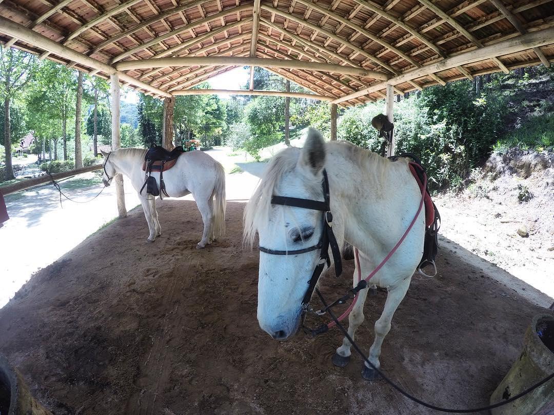 Hotel Fazenda Monte Verde Golf & Resort Vargem Alta Kültér fotó