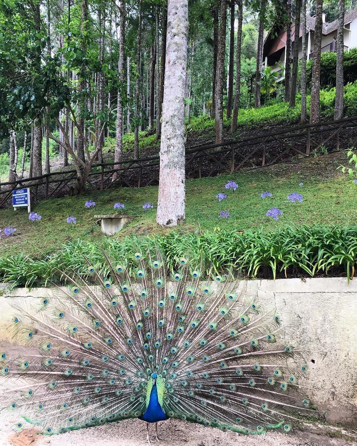 Hotel Fazenda Monte Verde Golf & Resort Vargem Alta Kültér fotó