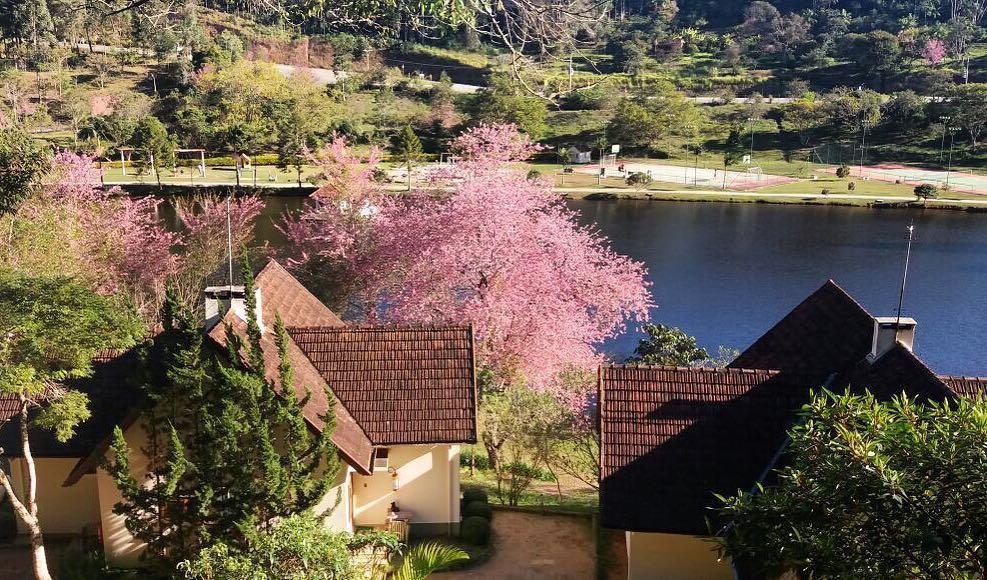 Hotel Fazenda Monte Verde Golf & Resort Vargem Alta Kültér fotó