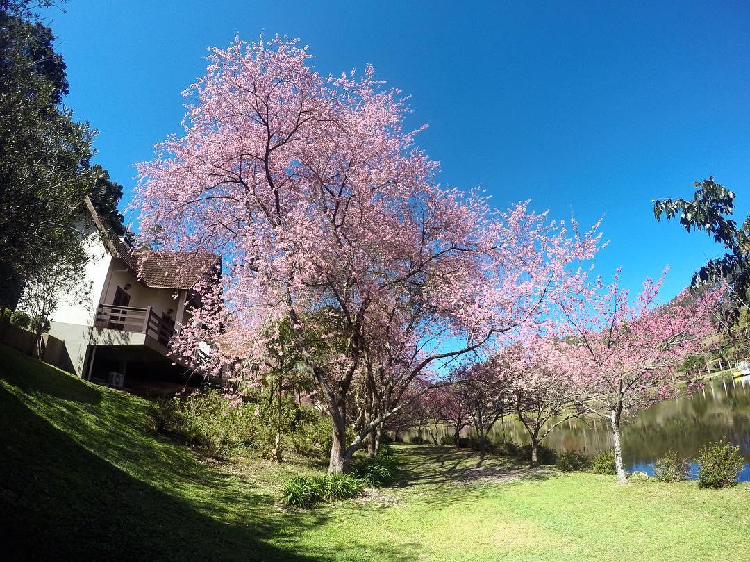 Hotel Fazenda Monte Verde Golf & Resort Vargem Alta Kültér fotó