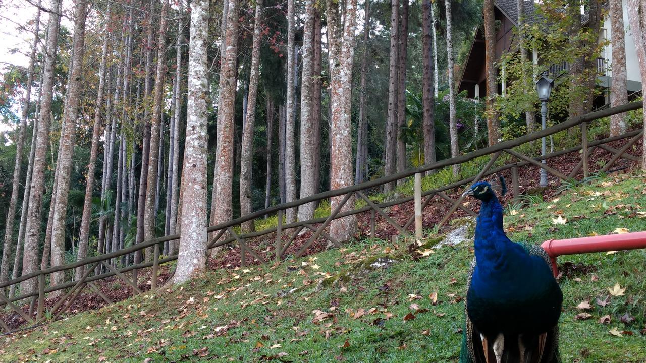 Hotel Fazenda Monte Verde Golf & Resort Vargem Alta Kültér fotó